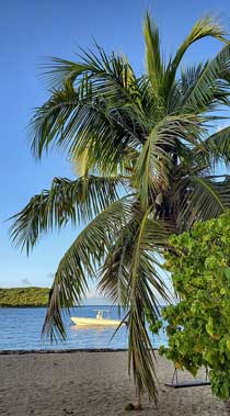 Puerto Rico, Vieques Island